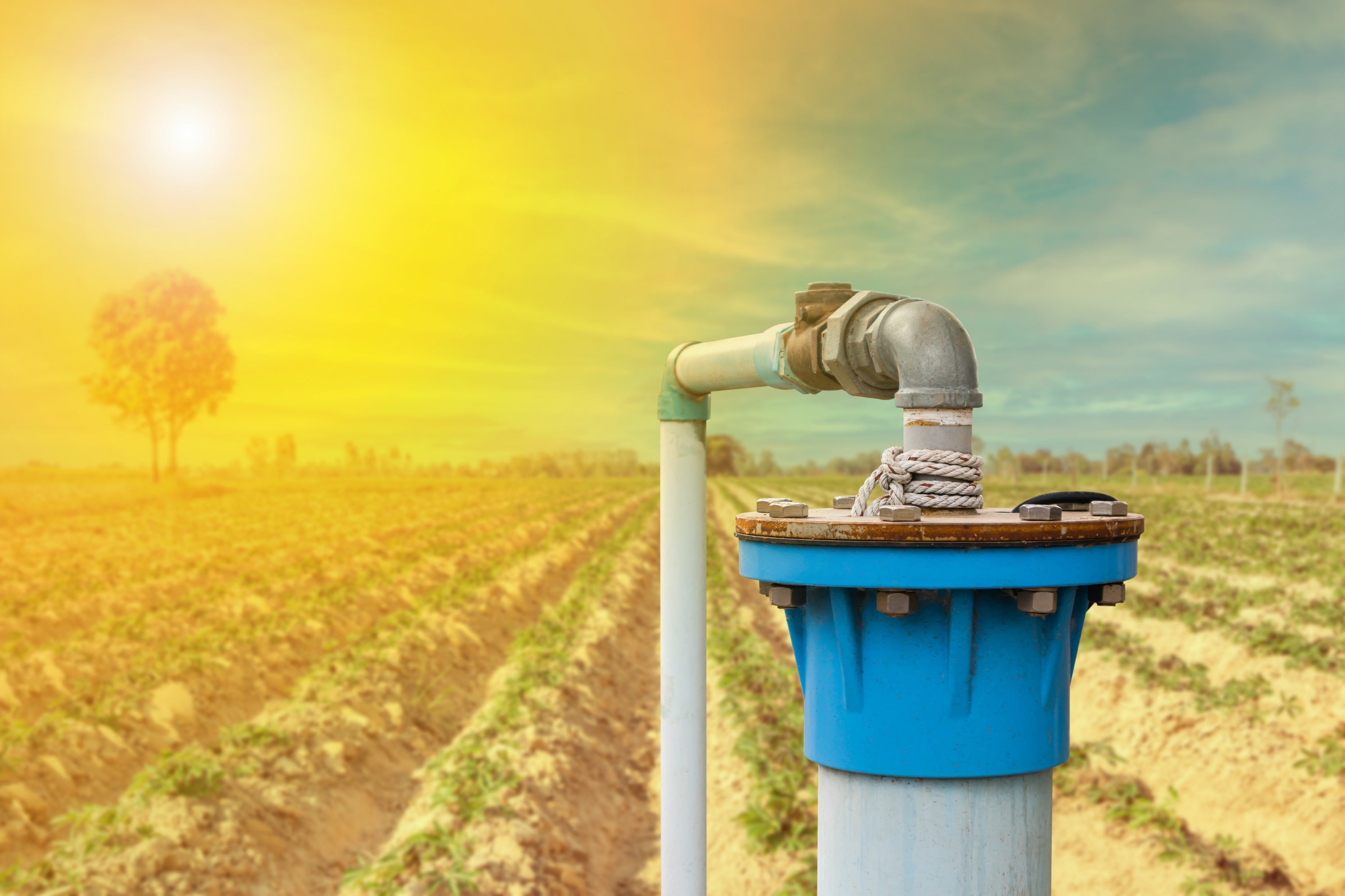 💧 What Is a Bore? — And Everything You Need to Know About Owning One