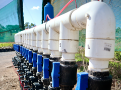 Pumps and Irrigation