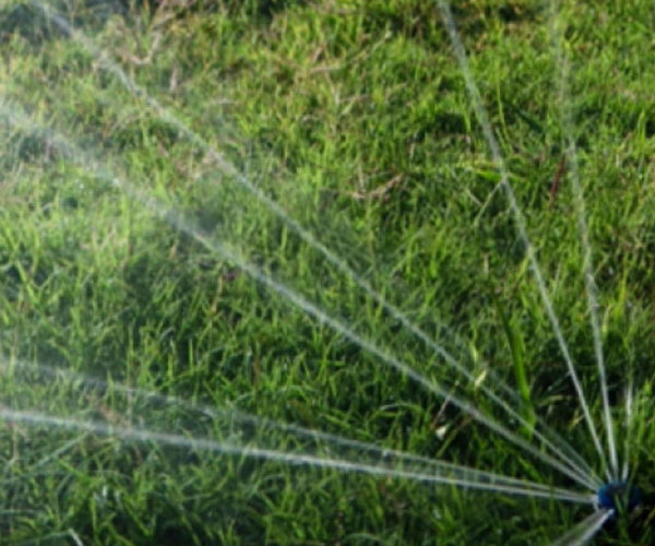Your perfect garden starts here.