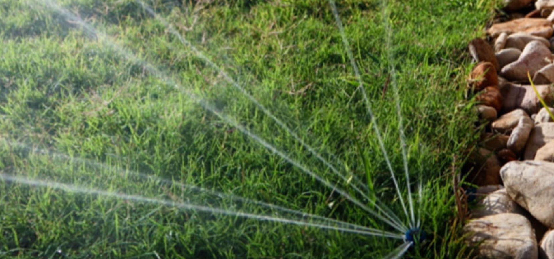 Your perfect garden starts here.