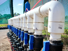 Pumps, irrigation and filtration